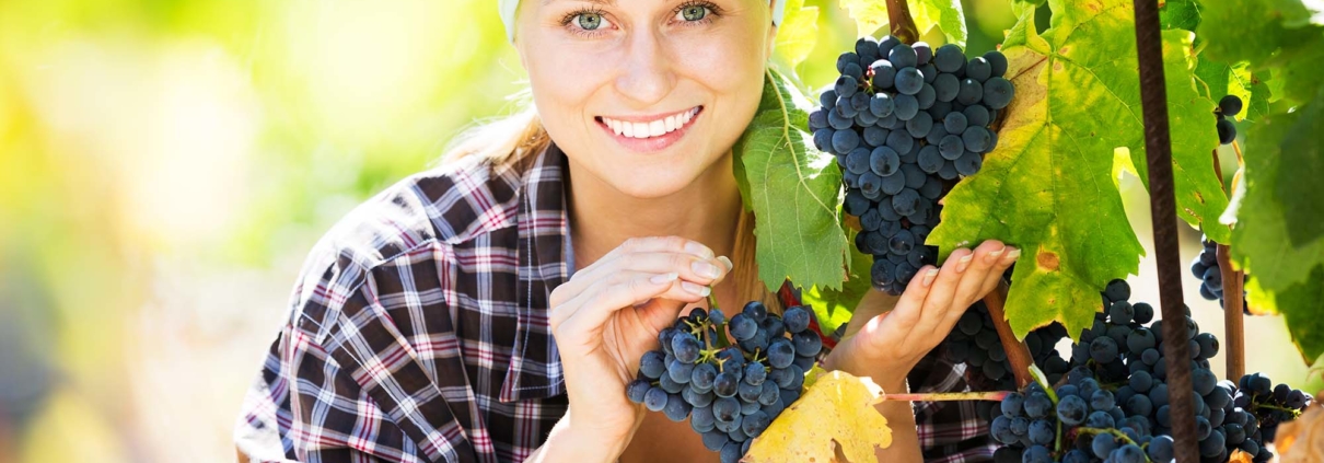 Production horticole 5348