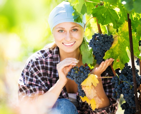 Production horticole 5348