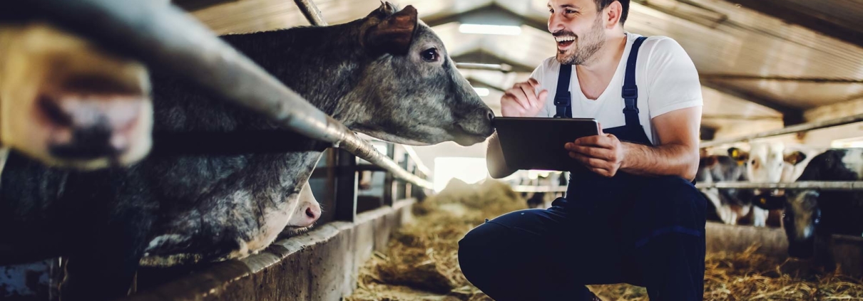 Production animale 5354 