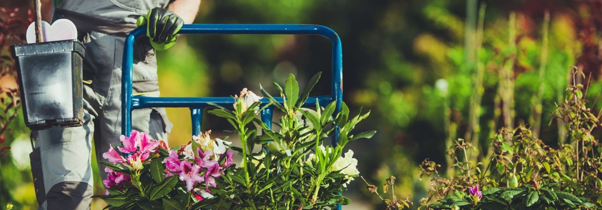 Landscaping Operations 5820