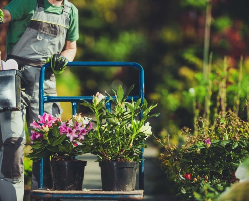 Landscaping Operations 5820